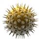 Retrovírus - čo to je?